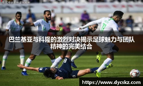 永盈彩票app